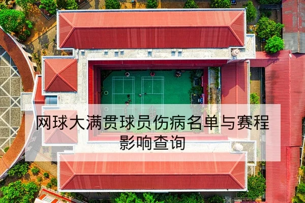 网球大满贯球员伤病名单与赛程影响查询